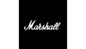 Marshall Headphones