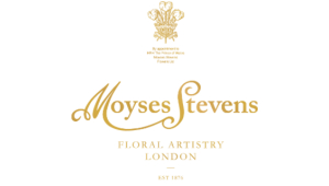 Moyses Stevens
