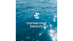 Conserving Beauty