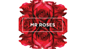 Mr Roses