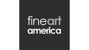 Fine Art America