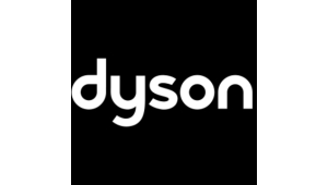 Dyson ES