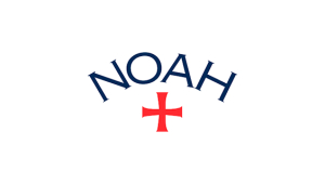 NOAH NY